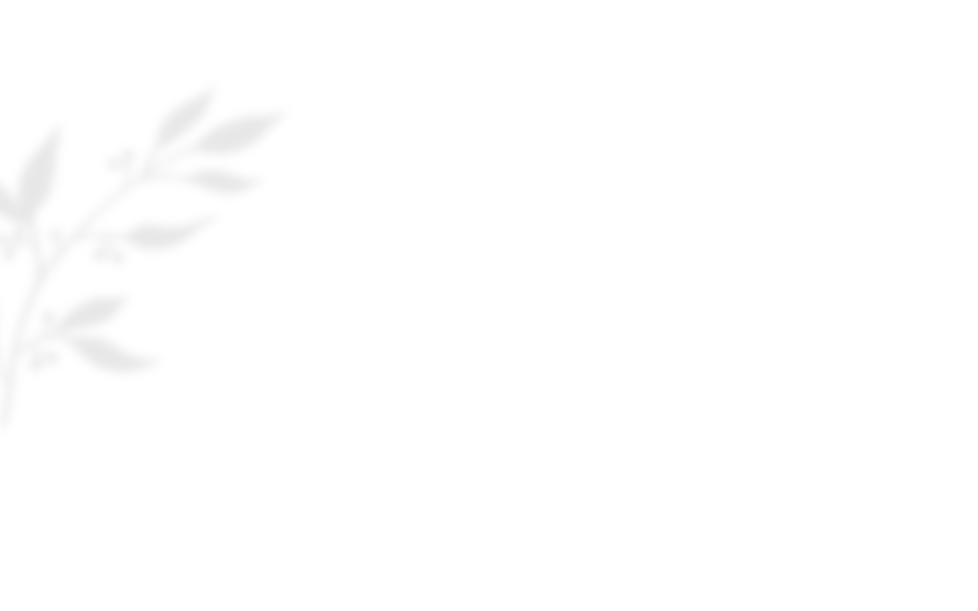 https://californiaweddingphotos.com/wp-content/uploads/2020/10/shadow_leaves_03.png