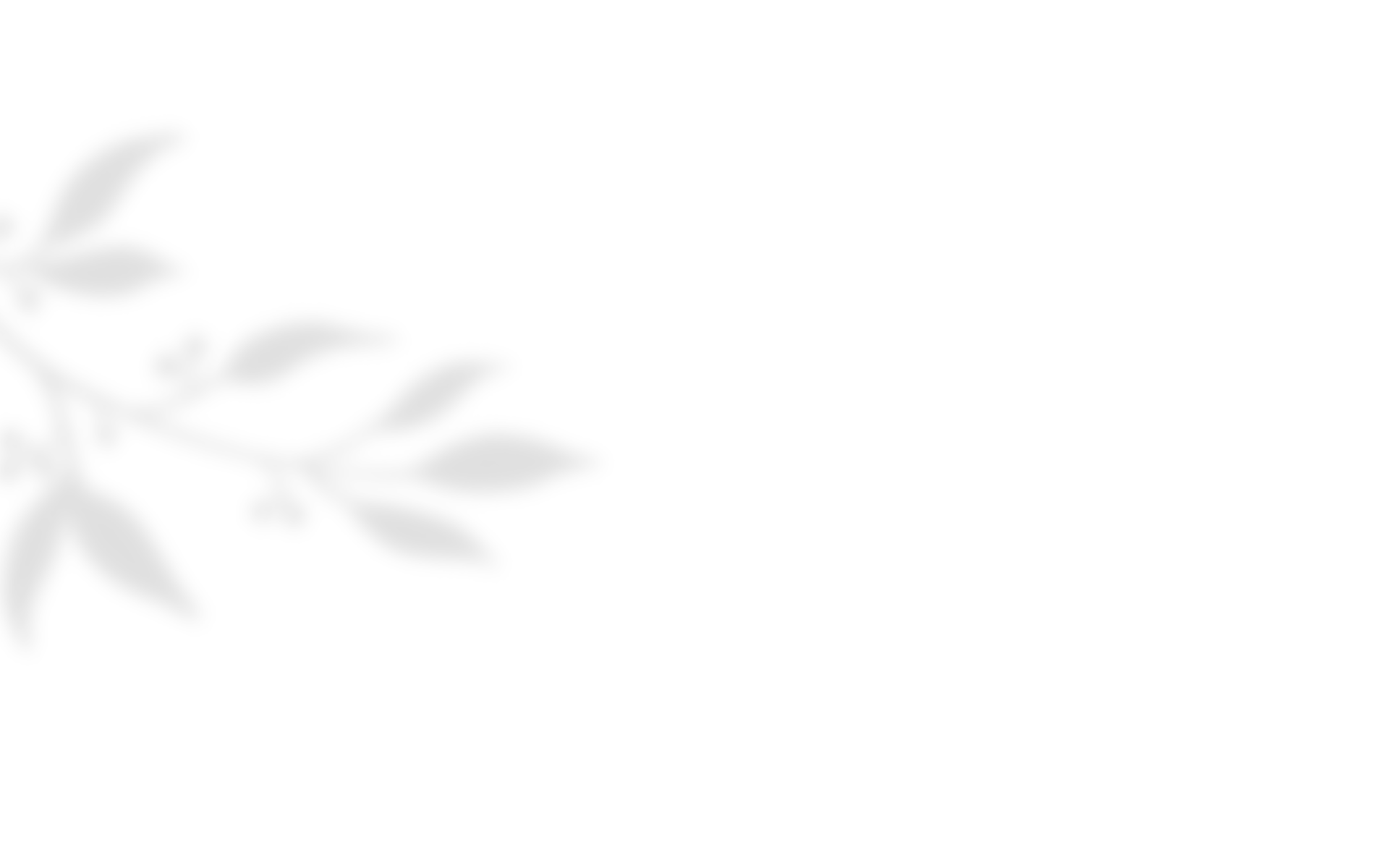 https://californiaweddingphotos.com/wp-content/uploads/2020/10/shadow_leaves_04.png