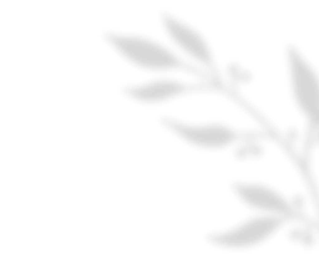 https://californiaweddingphotos.com/wp-content/uploads/2020/11/shadow_leaves_01.png