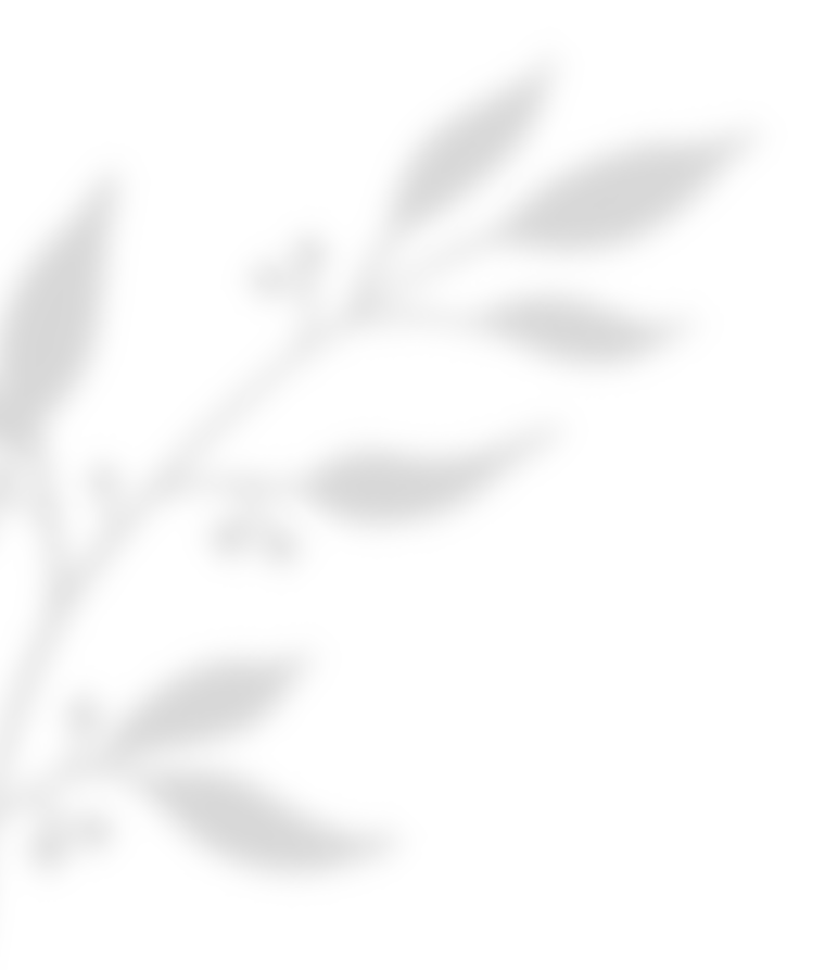 https://californiaweddingphotos.com/wp-content/uploads/2020/11/shadow_leaves_02.png