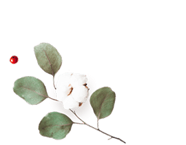 https://californiaweddingphotos.com/wp-content/uploads/2020/12/floating_image_flower_01.png