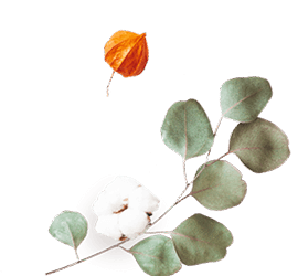 https://californiaweddingphotos.com/wp-content/uploads/2020/12/floating_image_flower_02.png