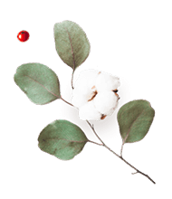 https://californiaweddingphotos.com/wp-content/uploads/2020/12/floating_image_flower_03.png