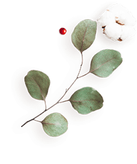 https://californiaweddingphotos.com/wp-content/uploads/2020/12/floating_image_flower_04.png